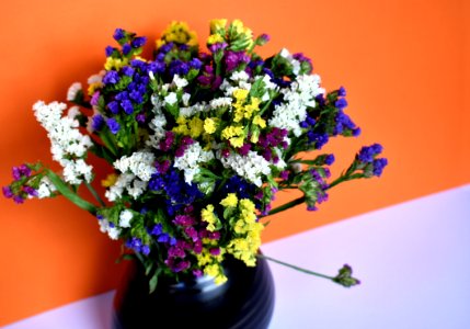 Flower, Plant, Flower Arranging, Flower Bouquet