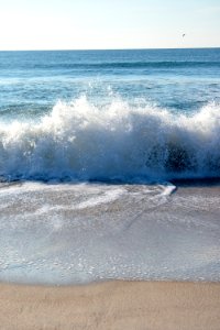 Sea, Wave, Shore, Wind Wave