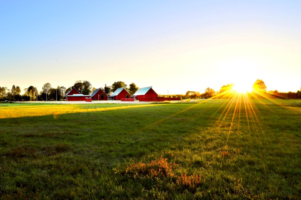 Grassland, Field, Sky, Farm