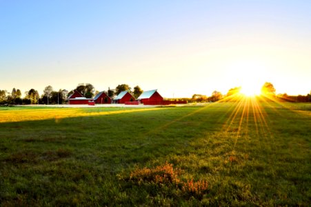 Grassland, Field, Sky, Farm