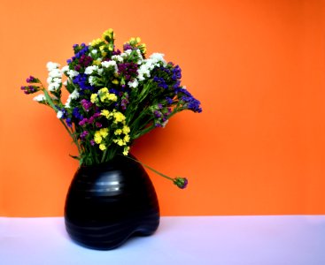 Flower, Vase, Plant, Flowerpot photo