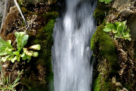 Waterfall, Water, Nature, Body Of Water