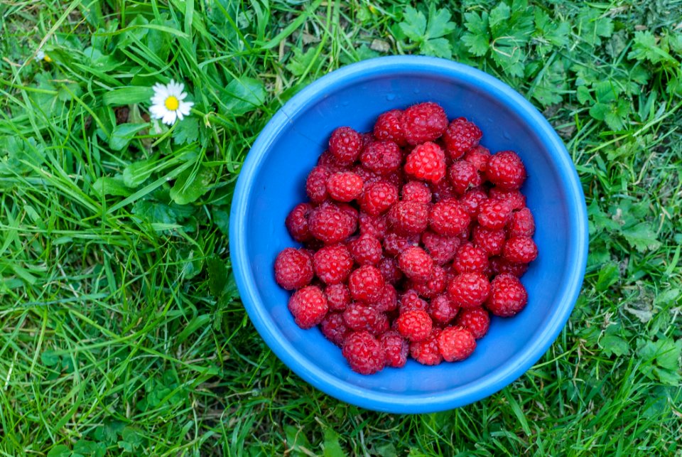 Natural Foods, Fruit, Strawberries, Berry