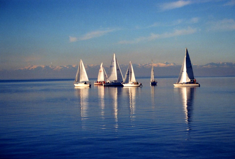 Sailboat, Calm, Sail, Waterway