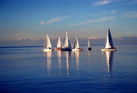 Sailboat, Calm, Sail, Waterway