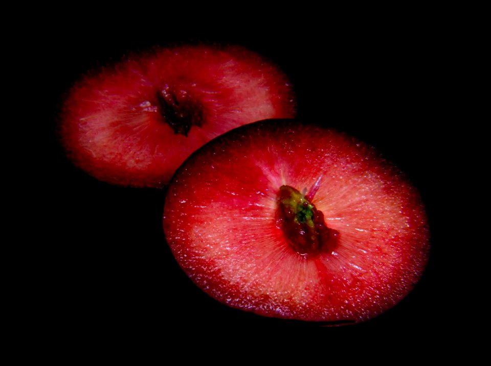 Fruit, Apple, Close Up, Produce