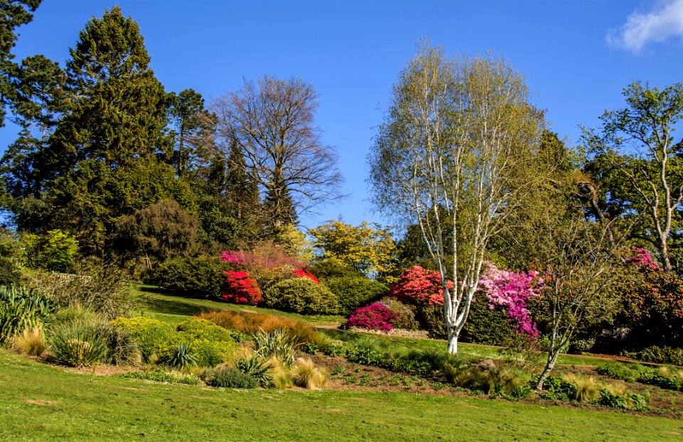 Nature, Garden, Vegetation, Plant