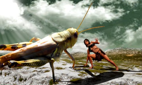 Water, Insect, Boats And Boating Equipment And Supplies