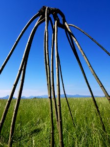 Sky, Grassland, Field, Ecosystem