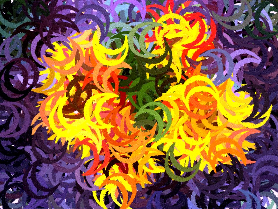 Yellow, Organism, Art, Flower