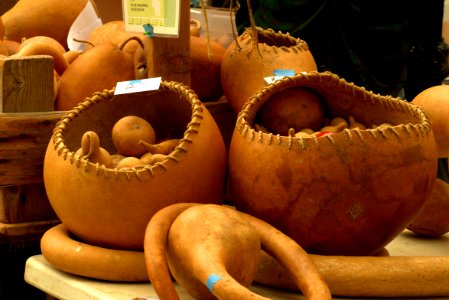 Winter Squash, Cucurbita, Vegetable, Gourd photo