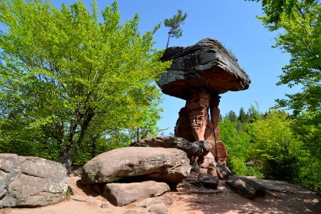 Rock, Tree, Nature Reserve, National Park photo
