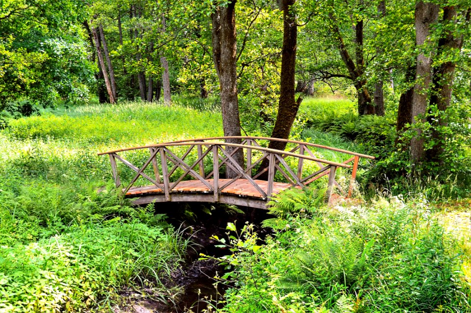 Nature, Vegetation, Nature Reserve, Ecosystem