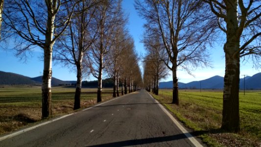 Road, Path, Tree, Sky photo