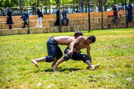 Sports, Grass, Race, Competition Event
