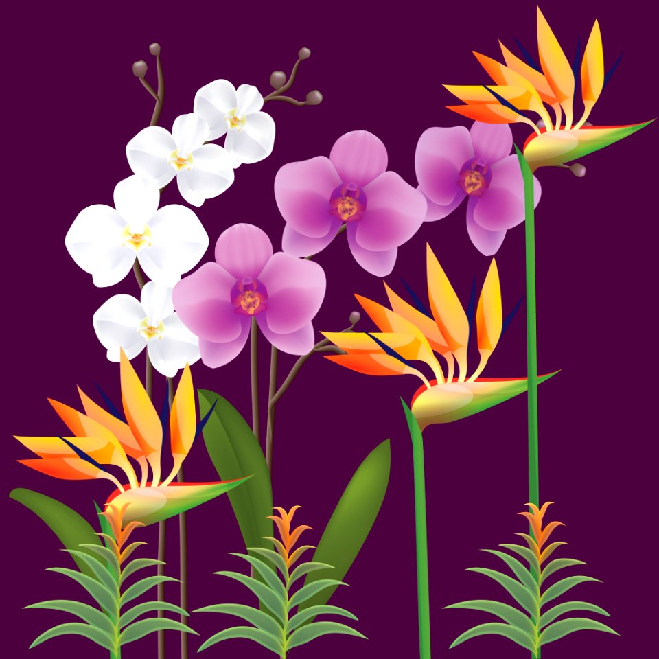 Flower, Flowering Plant, Flora, Plant