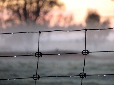 Wire Fencing, Barbed Wire, Fence, Sky photo