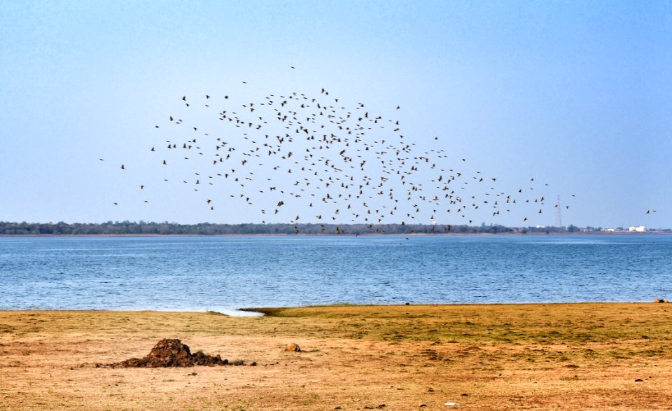 Sky, Sea, Shore, Horizon