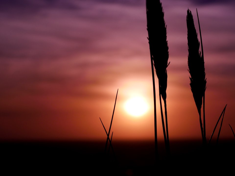 Sky, Sunset, Horizon, Sunrise