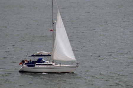 Sailboat, Sail, Boat, Water Transportation photo