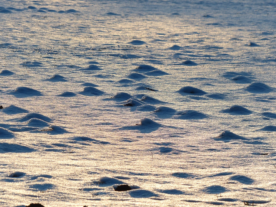 Molehill snow snowy
