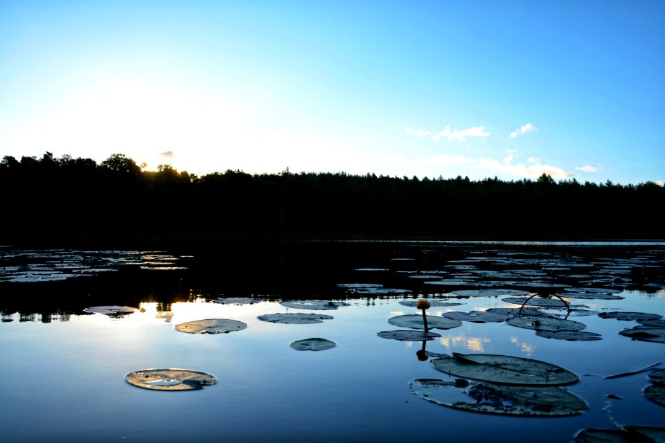 Reflection, Water, Nature, Sky photo