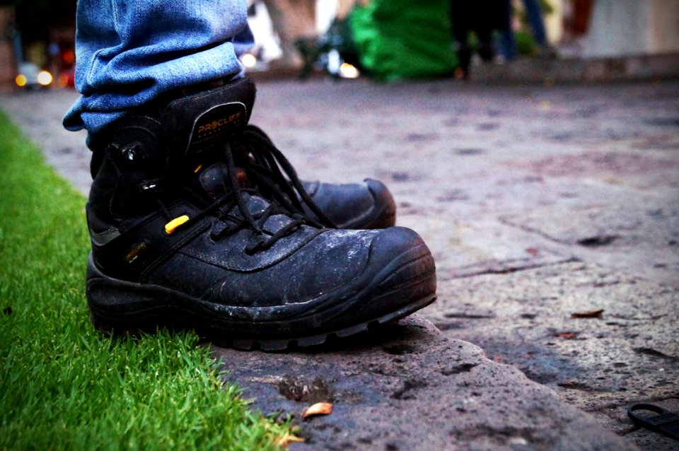 Footwear, Shoe, Sneakers, Grass
