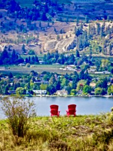 Nature, Wilderness, Nature Reserve, Mount Scenery