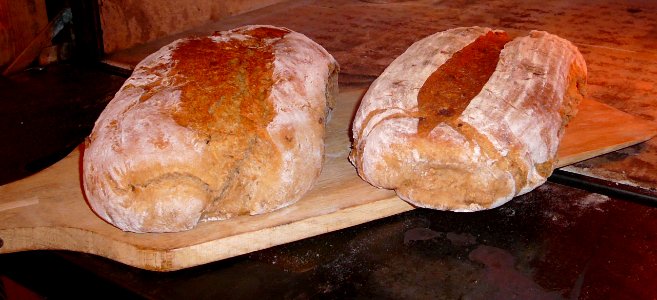 Bread, Sourdough, Rye Bread, Baked Goods photo