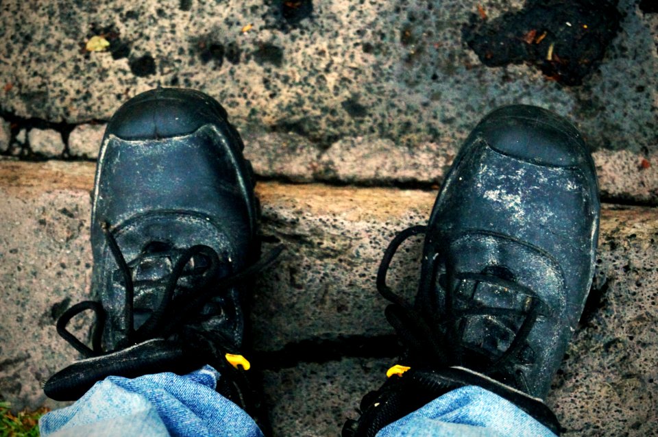 Footwear, Shoe, Grass, Outdoor Shoe