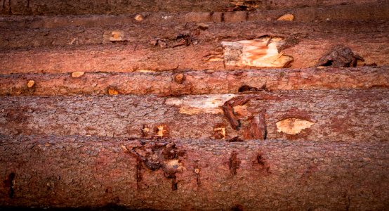 Soil, Wall, Wood, Rust photo