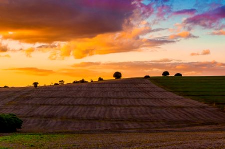 Sky, Field, Cloud, Dawn