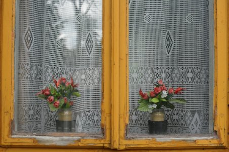 Window, Wall, Window Covering, Window Treatment photo