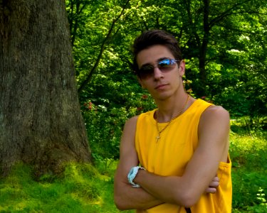 Green, Yellow, Nature, Tree