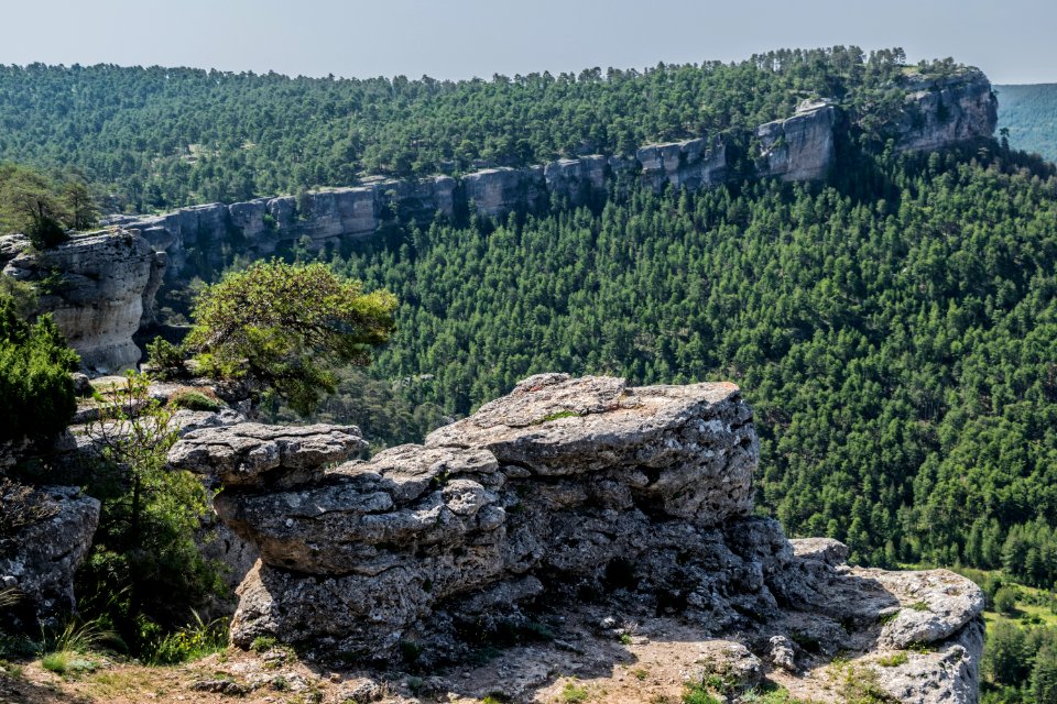 Rock, Vegetation, Nature Reserve, Tree