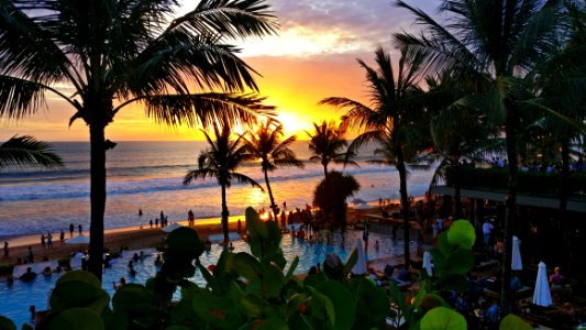 Body Of Water, Palm Tree, Sky, Arecales