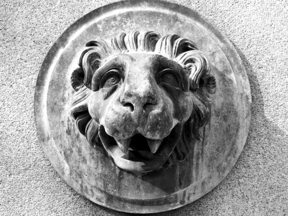 Black And White, Monochrome Photography, Head, Photography