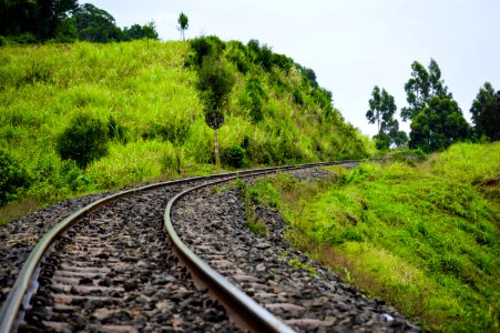 Track, Transport, Vegetation, Rail Transport photo