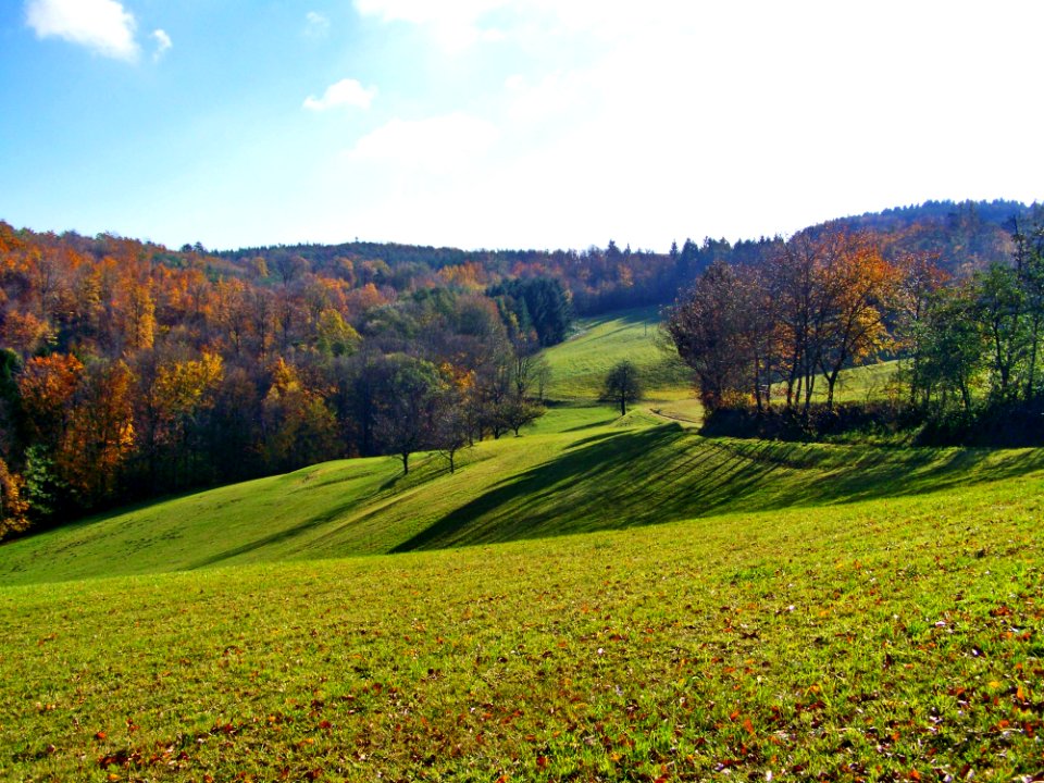 Grassland, Nature, Leaf, Hill