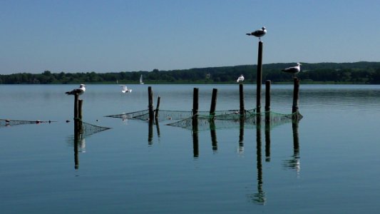 Water, Waterway, Reflection, Lake photo