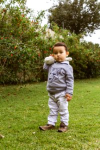 Child, Grass, Tree, Plant