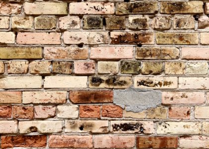 Brick, Wall, Brickwork, Stone Wall photo