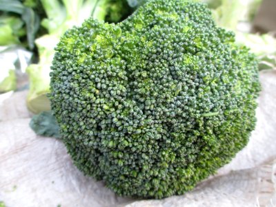 Broccoli, Plant, Grass, Flowerpot