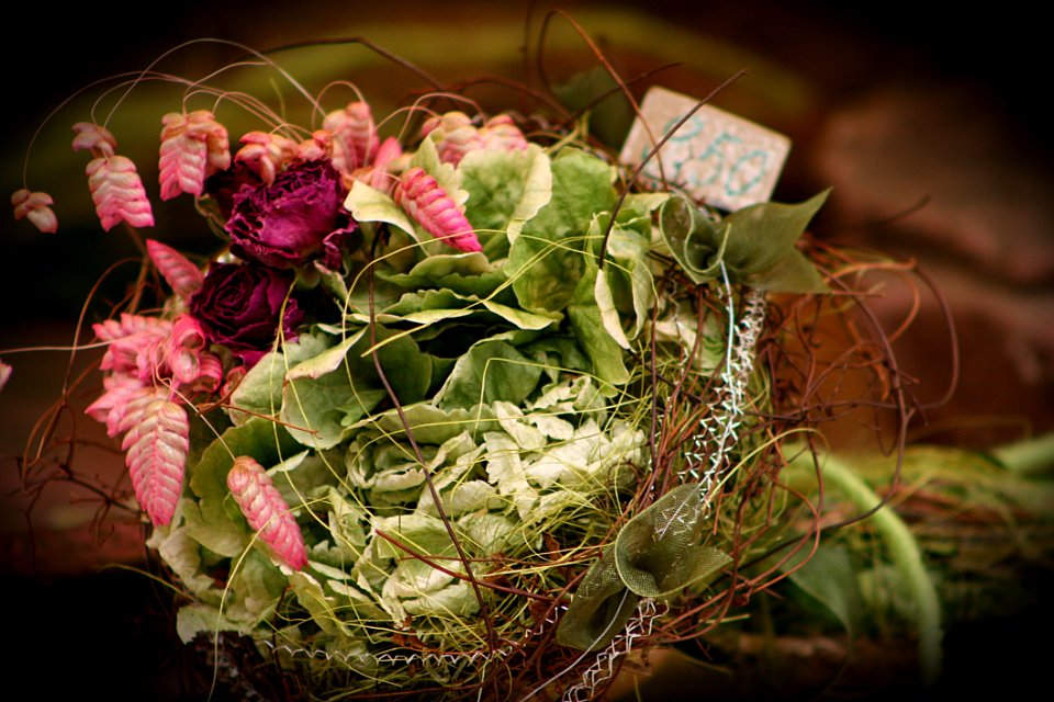 Flower, Plant, Flora, Floristry