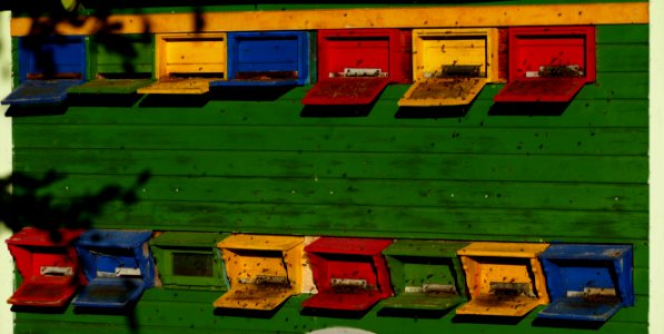 Yellow, Green, Games, Play