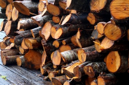 Wood, Lumber, Tree, Wood Chopping photo