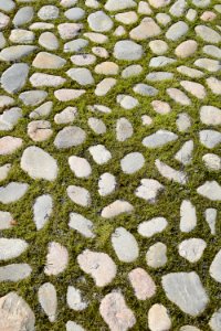 Grass, Cobblestone, Road Surface, Pattern photo