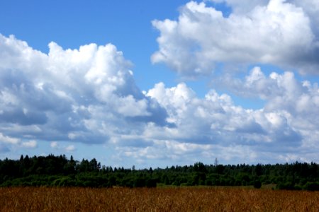 Sky, Cloud, Field, Cumulus