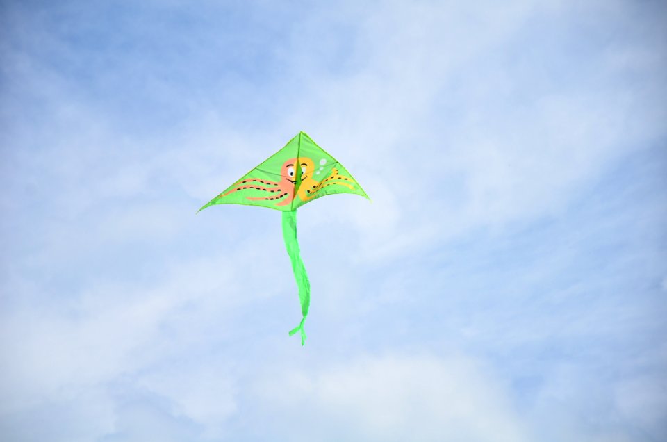 Sky, Kite Sports, Cloud, Windsports