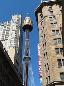 Australia city skyscraper photo
